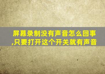 屏幕录制没有声音怎么回事,只要打开这个开关就有声音