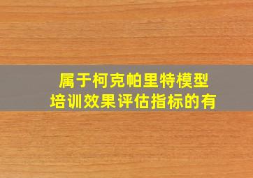 属于柯克帕里特模型培训效果评估指标的有