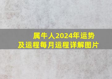 属牛人2024年运势及运程每月运程详解图片