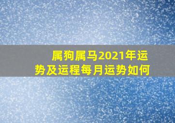 属狗属马2021年运势及运程每月运势如何