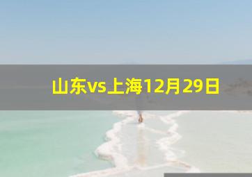 山东vs上海12月29日