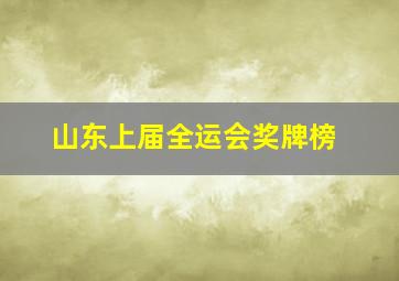 山东上届全运会奖牌榜