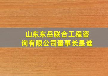 山东东岳联合工程咨询有限公司董事长是谁