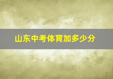 山东中考体育加多少分