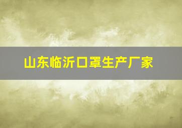 山东临沂口罩生产厂家