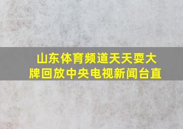 山东体育频道天天耍大牌回放中央电视新闻台直