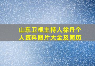 山东卫视主持人徐丹个人资料图片大全及简历