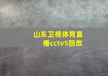 山东卫视体育直播cctv5回放