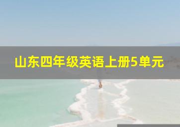 山东四年级英语上册5单元