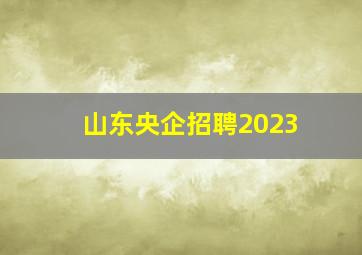 山东央企招聘2023