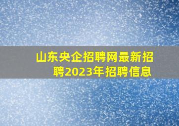 山东央企招聘网最新招聘2023年招聘信息