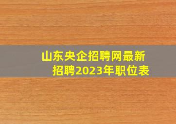 山东央企招聘网最新招聘2023年职位表