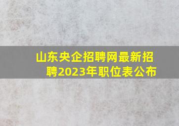 山东央企招聘网最新招聘2023年职位表公布