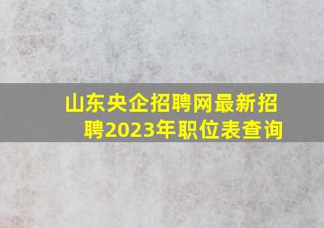 山东央企招聘网最新招聘2023年职位表查询