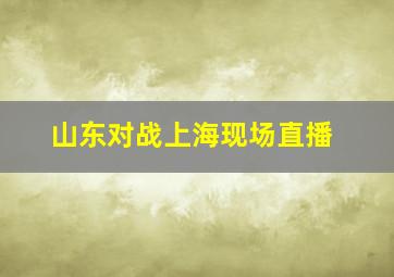 山东对战上海现场直播