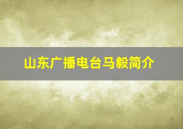 山东广播电台马毅简介