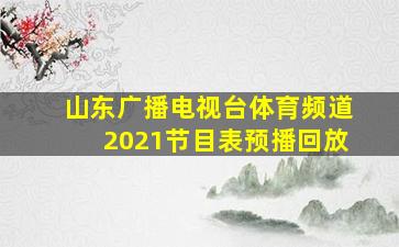 山东广播电视台体育频道2021节目表预播回放