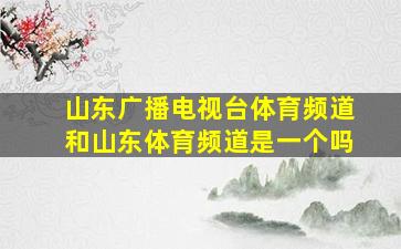 山东广播电视台体育频道和山东体育频道是一个吗