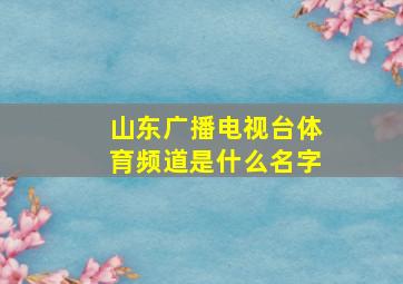 山东广播电视台体育频道是什么名字