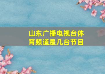 山东广播电视台体育频道是几台节目