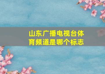 山东广播电视台体育频道是哪个标志