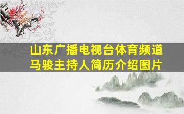 山东广播电视台体育频道马骏主持人简历介绍图片