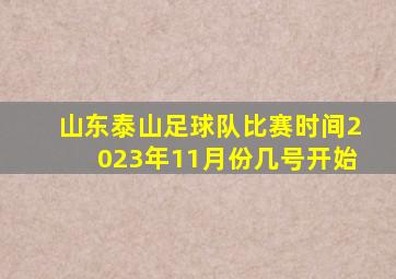 山东泰山足球队比赛时间2023年11月份几号开始