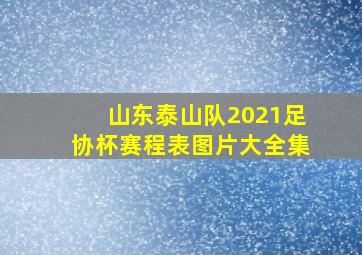 山东泰山队2021足协杯赛程表图片大全集