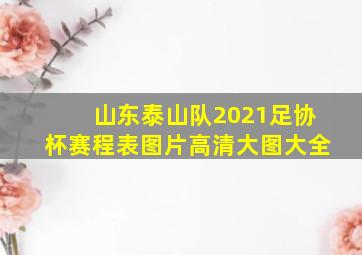 山东泰山队2021足协杯赛程表图片高清大图大全