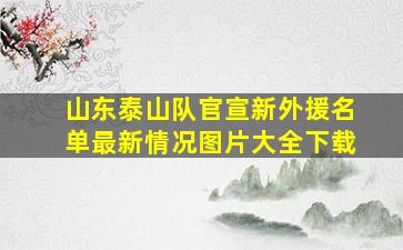 山东泰山队官宣新外援名单最新情况图片大全下载