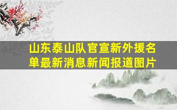 山东泰山队官宣新外援名单最新消息新闻报道图片