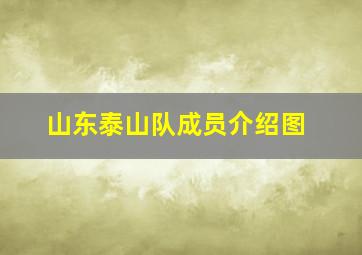 山东泰山队成员介绍图