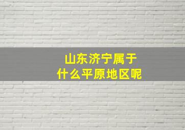 山东济宁属于什么平原地区呢