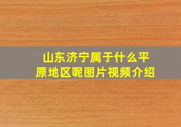 山东济宁属于什么平原地区呢图片视频介绍