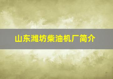 山东潍坊柴油机厂简介