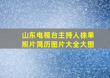 山东电视台主持人徐单照片简历图片大全大图