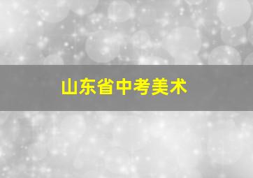 山东省中考美术