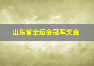 山东省全运会冠军奖金