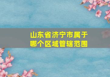 山东省济宁市属于哪个区域管辖范围