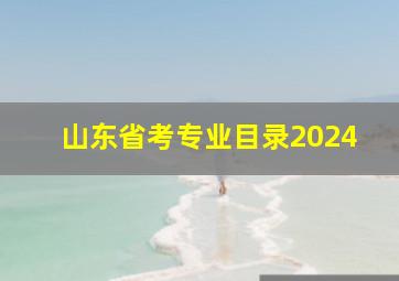 山东省考专业目录2024