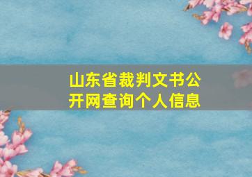 山东省裁判文书公开网查询个人信息