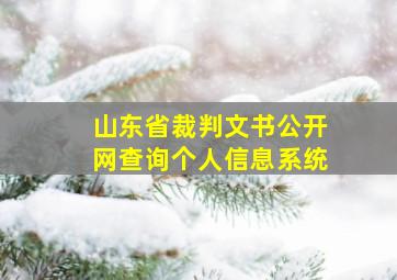 山东省裁判文书公开网查询个人信息系统