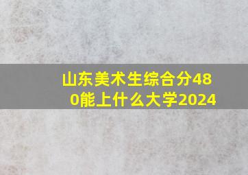 山东美术生综合分480能上什么大学2024