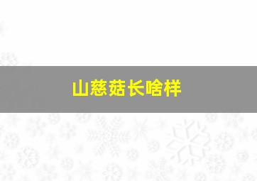 山慈菇长啥样