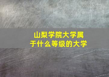 山梨学院大学属于什么等级的大学