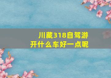 川藏318自驾游开什么车好一点呢