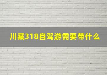 川藏318自驾游需要带什么