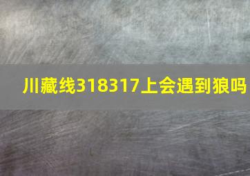 川藏线318317上会遇到狼吗