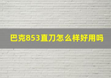 巴克853直刀怎么样好用吗