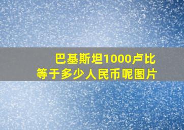 巴基斯坦1000卢比等于多少人民币呢图片